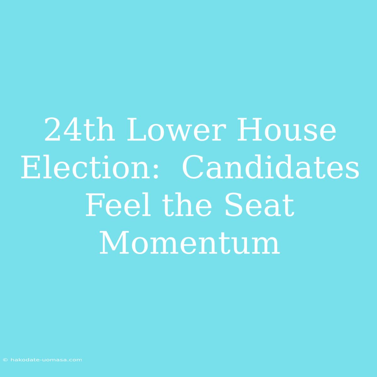 24th Lower House Election:  Candidates Feel The Seat Momentum