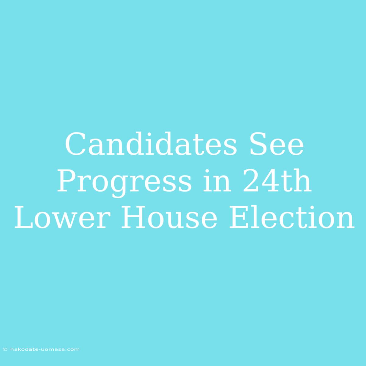 Candidates See Progress In 24th Lower House Election