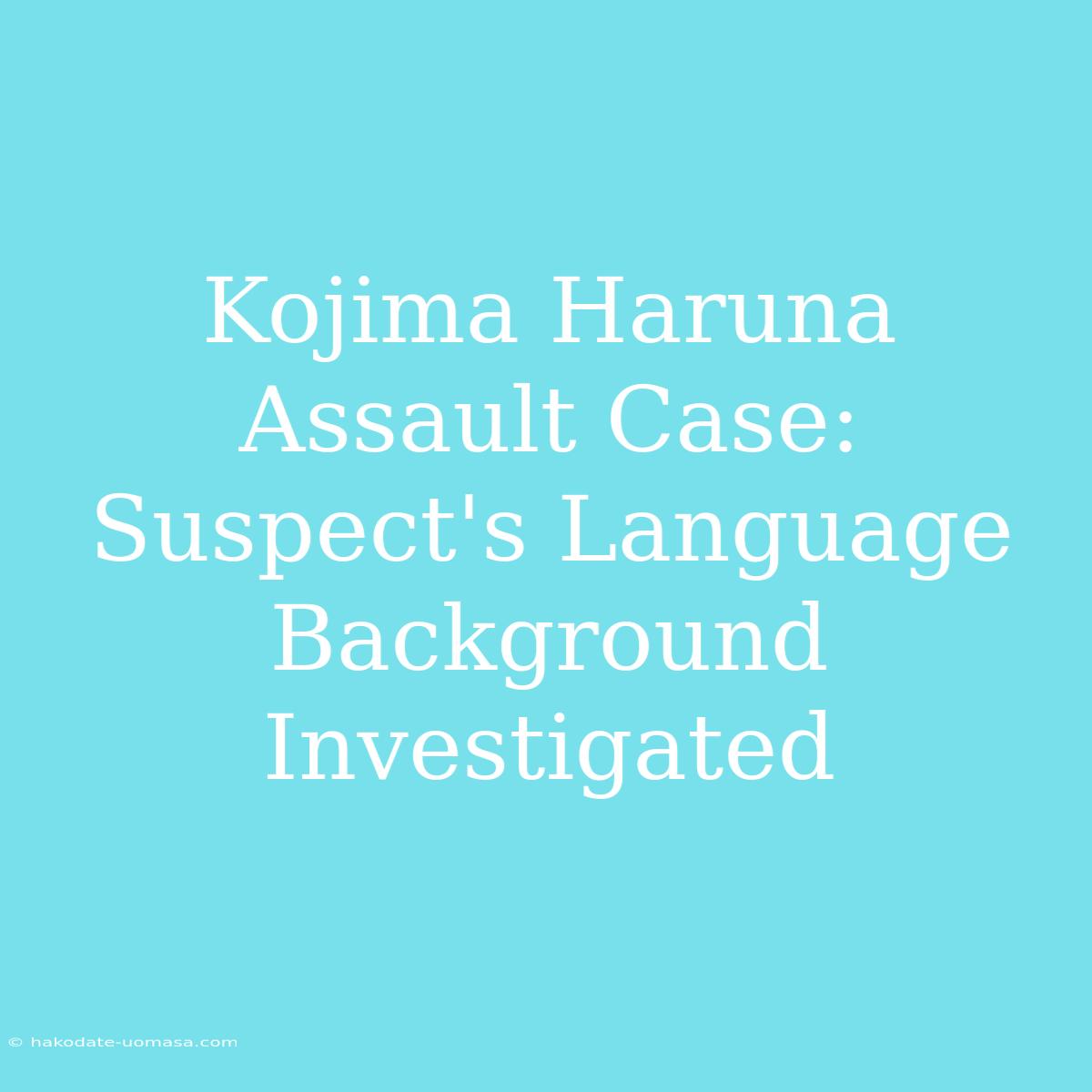 Kojima Haruna Assault Case: Suspect's Language Background Investigated