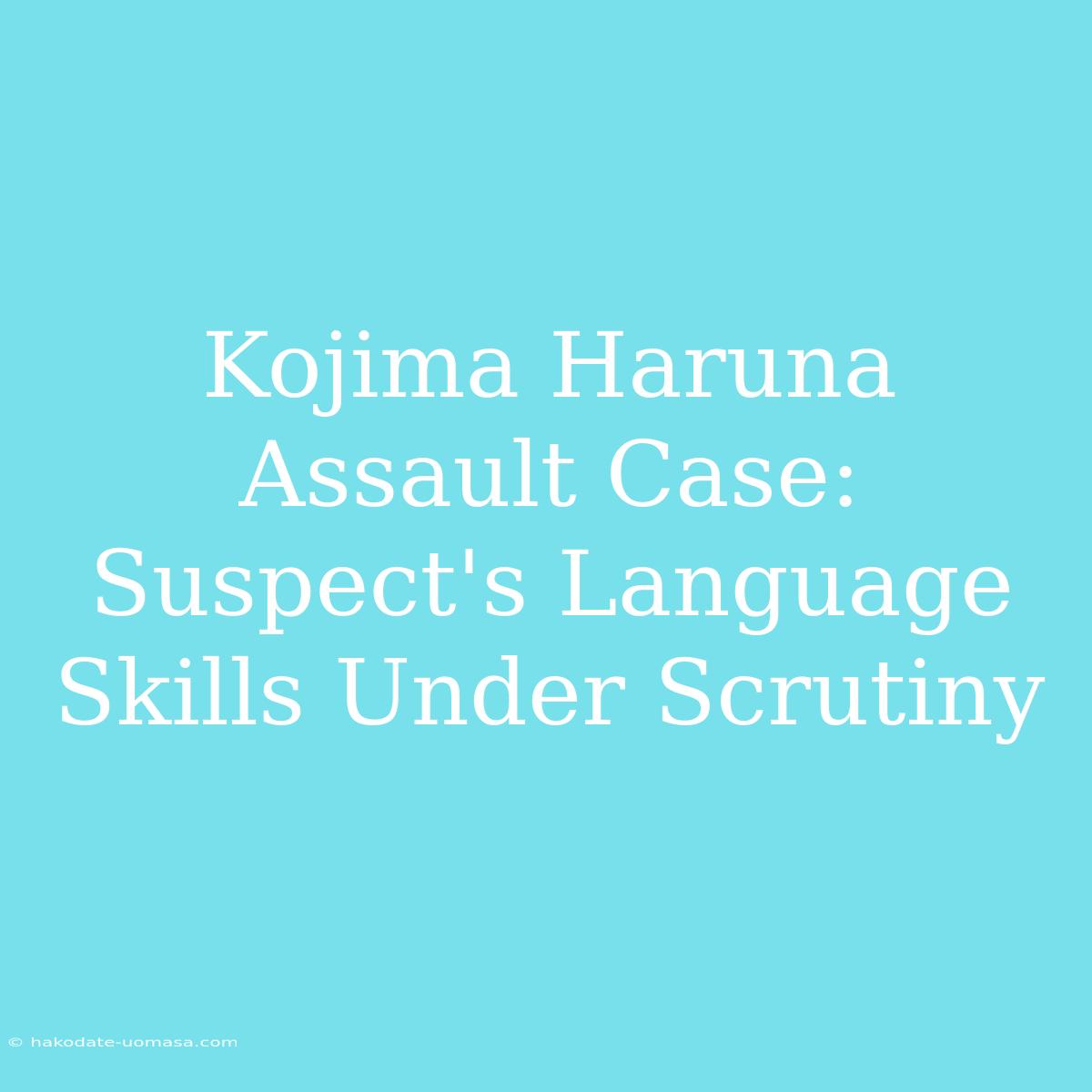 Kojima Haruna Assault Case: Suspect's Language Skills Under Scrutiny