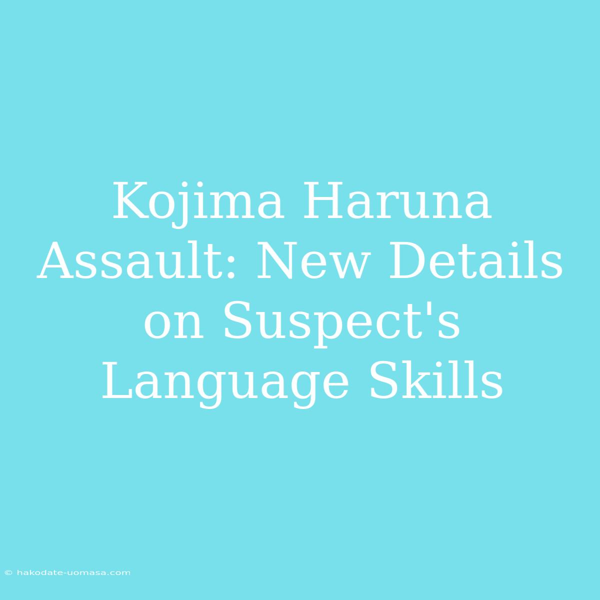 Kojima Haruna Assault: New Details On Suspect's Language Skills