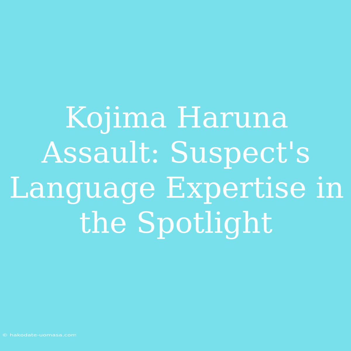 Kojima Haruna Assault: Suspect's Language Expertise In The Spotlight