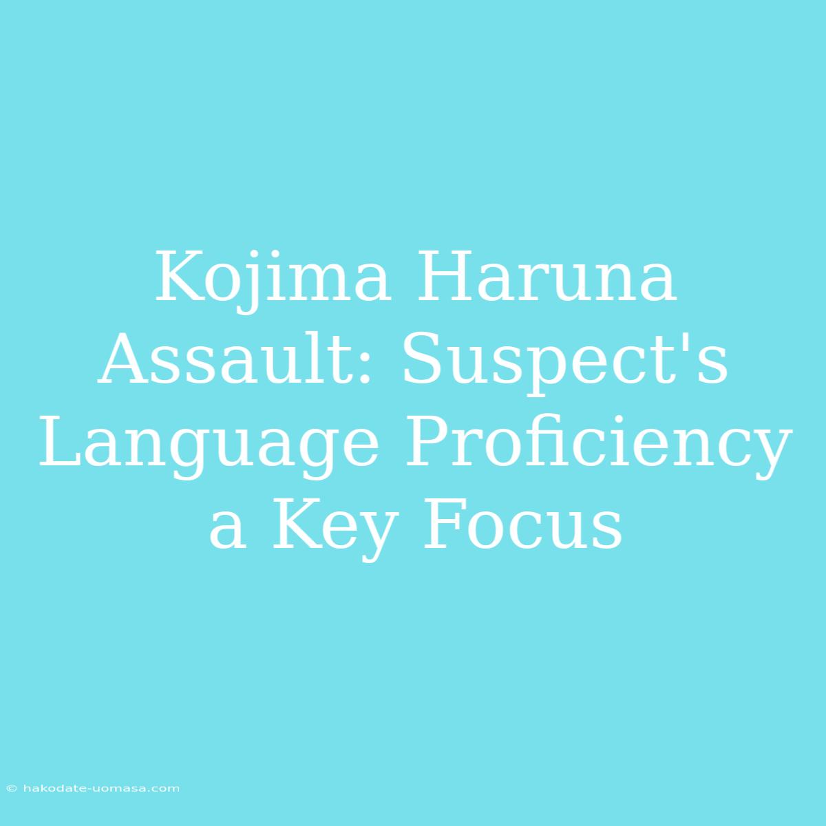 Kojima Haruna Assault: Suspect's Language Proficiency A Key Focus 