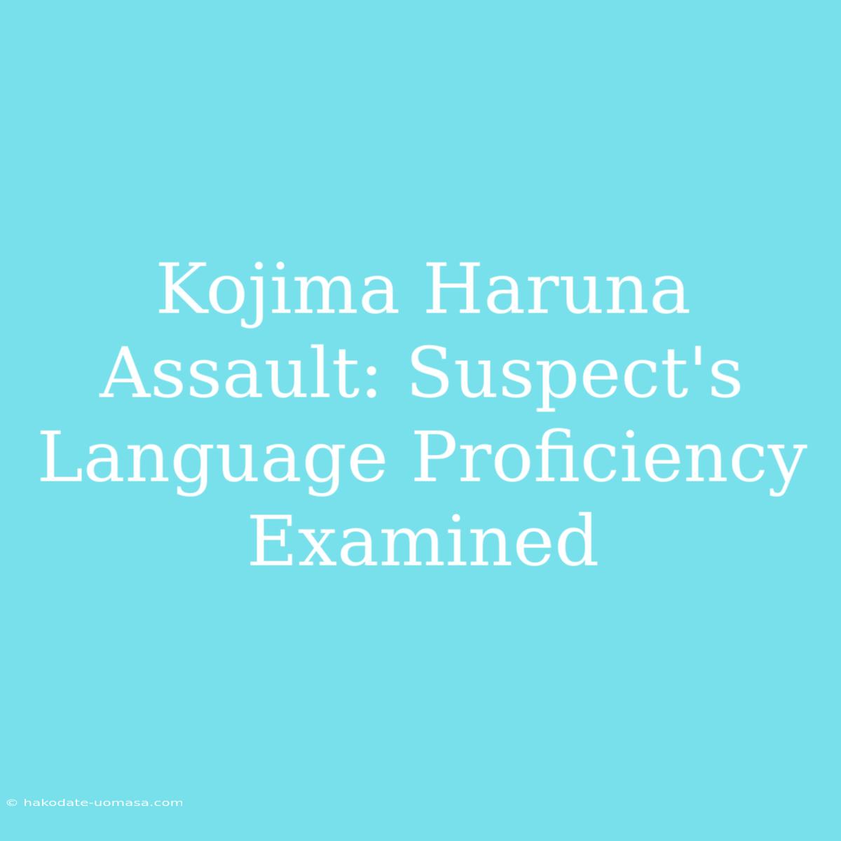 Kojima Haruna Assault: Suspect's Language Proficiency Examined