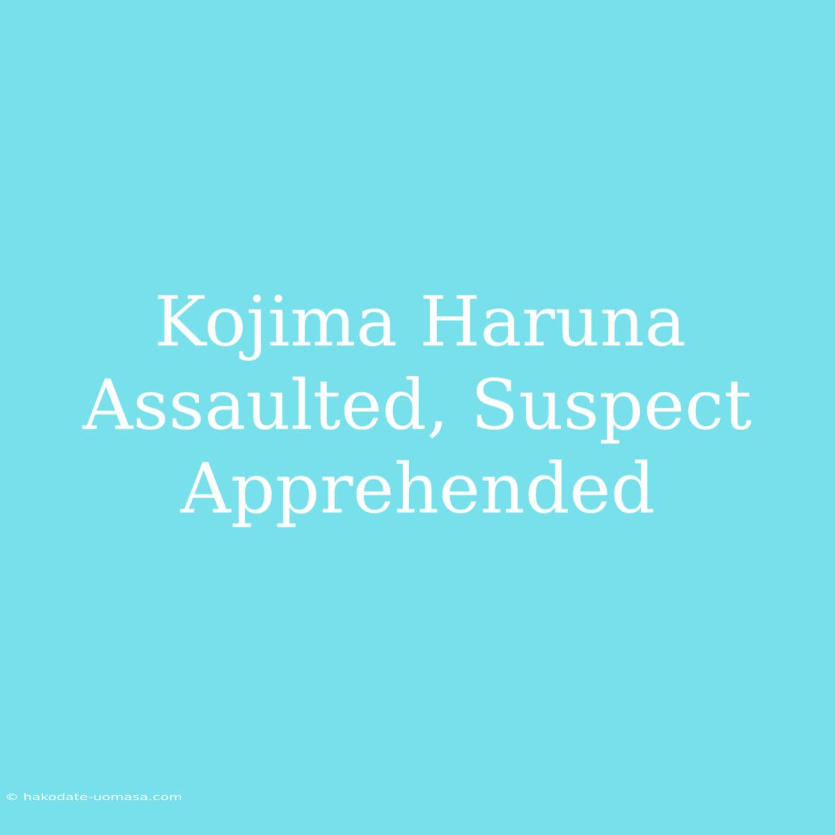 Kojima Haruna Assaulted, Suspect Apprehended