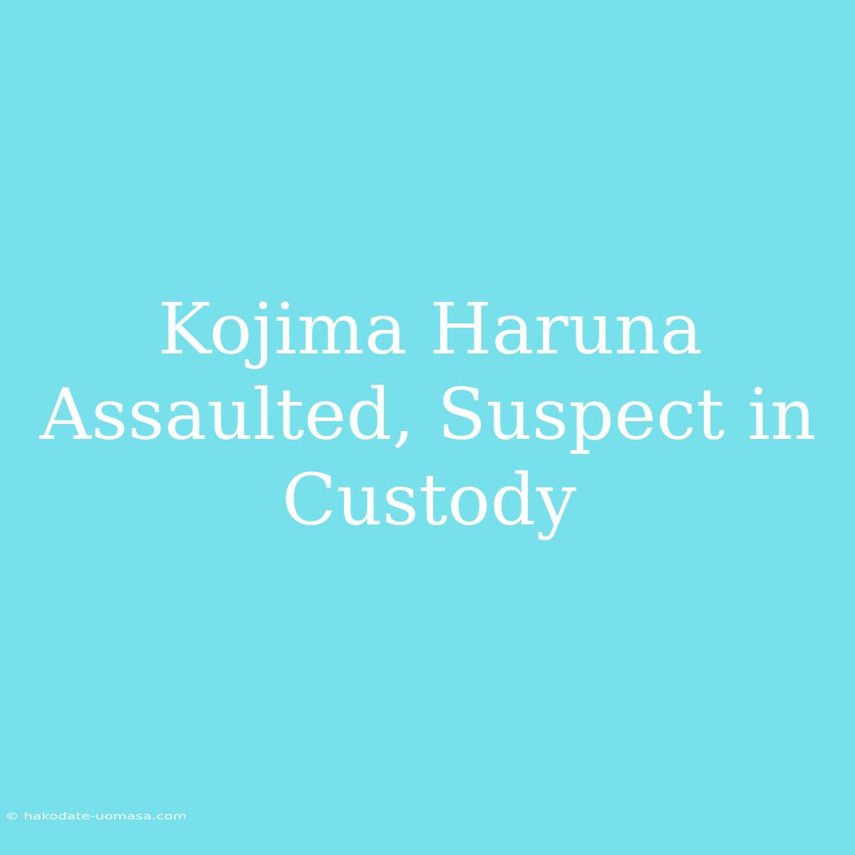 Kojima Haruna Assaulted, Suspect In Custody