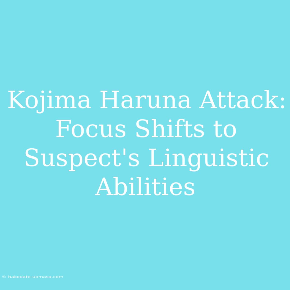 Kojima Haruna Attack: Focus Shifts To Suspect's Linguistic Abilities