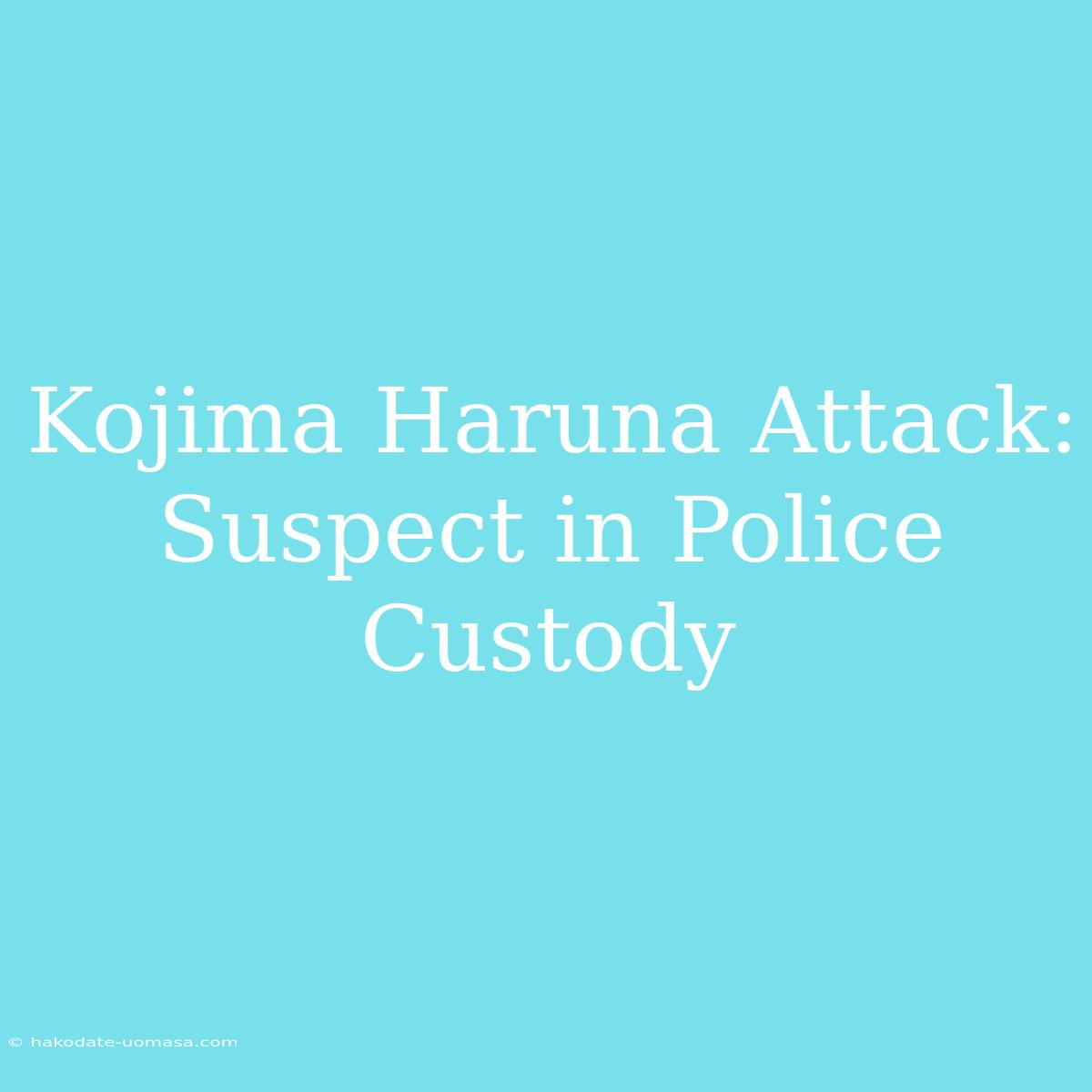 Kojima Haruna Attack: Suspect In Police Custody