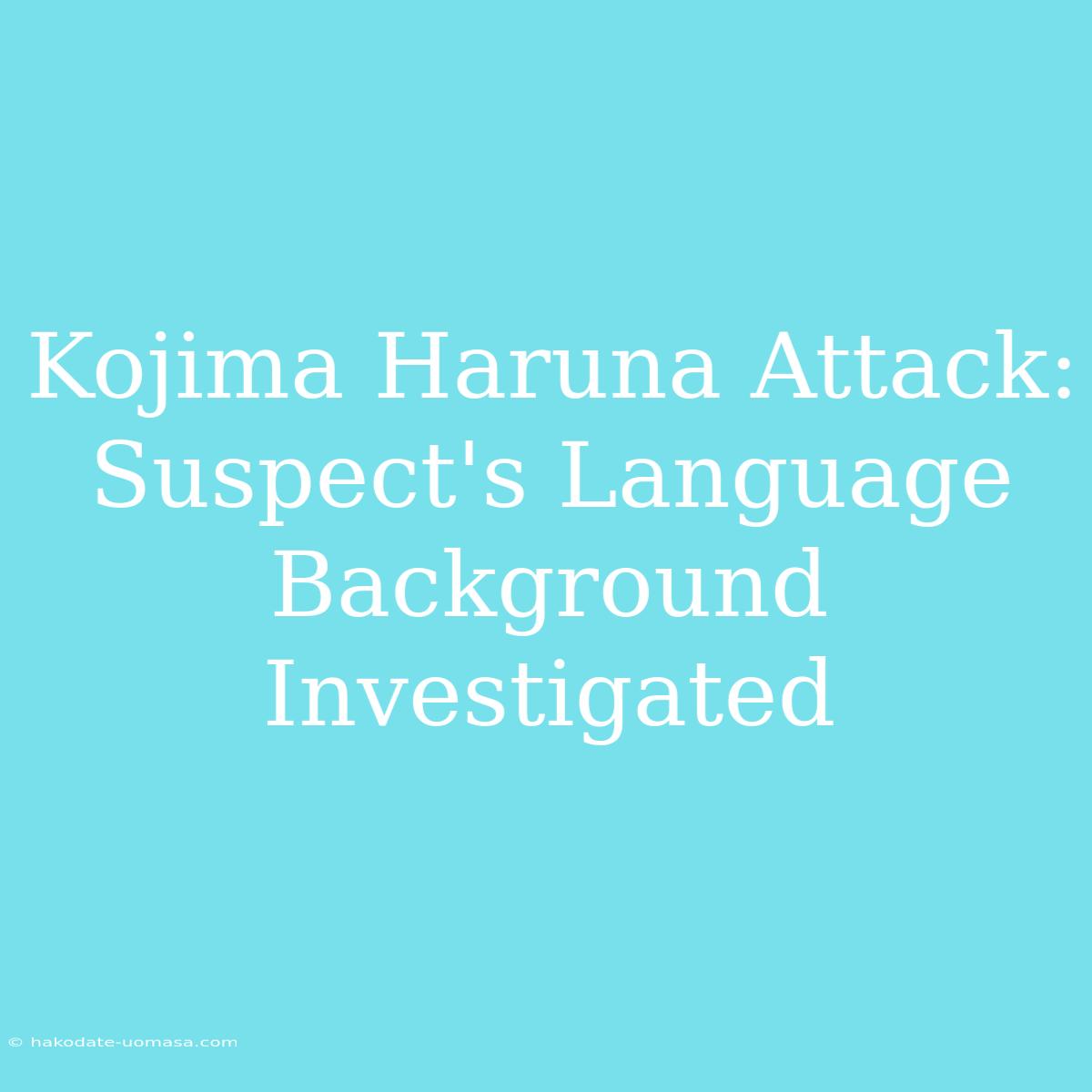 Kojima Haruna Attack: Suspect's Language Background Investigated