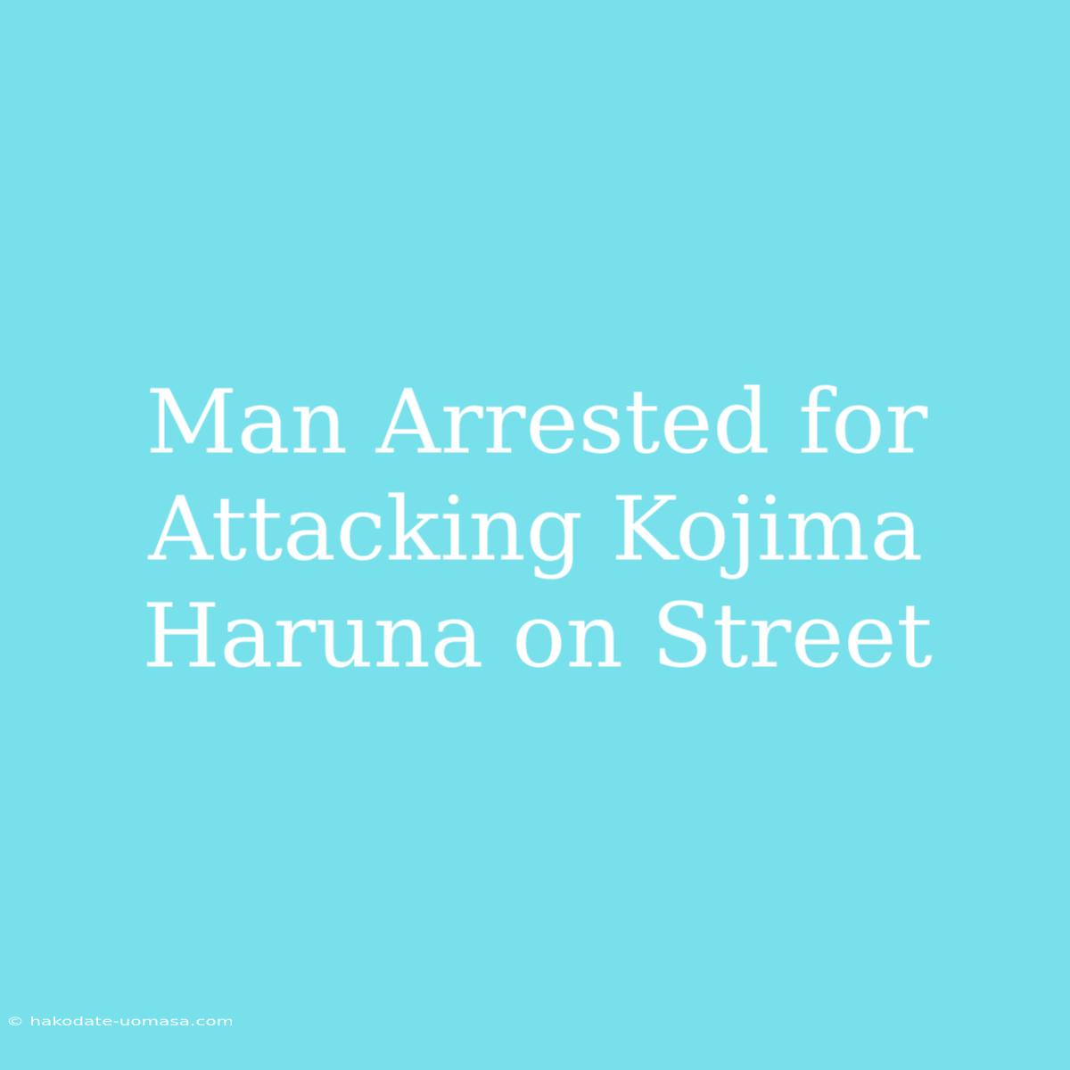 Man Arrested For Attacking Kojima Haruna On Street