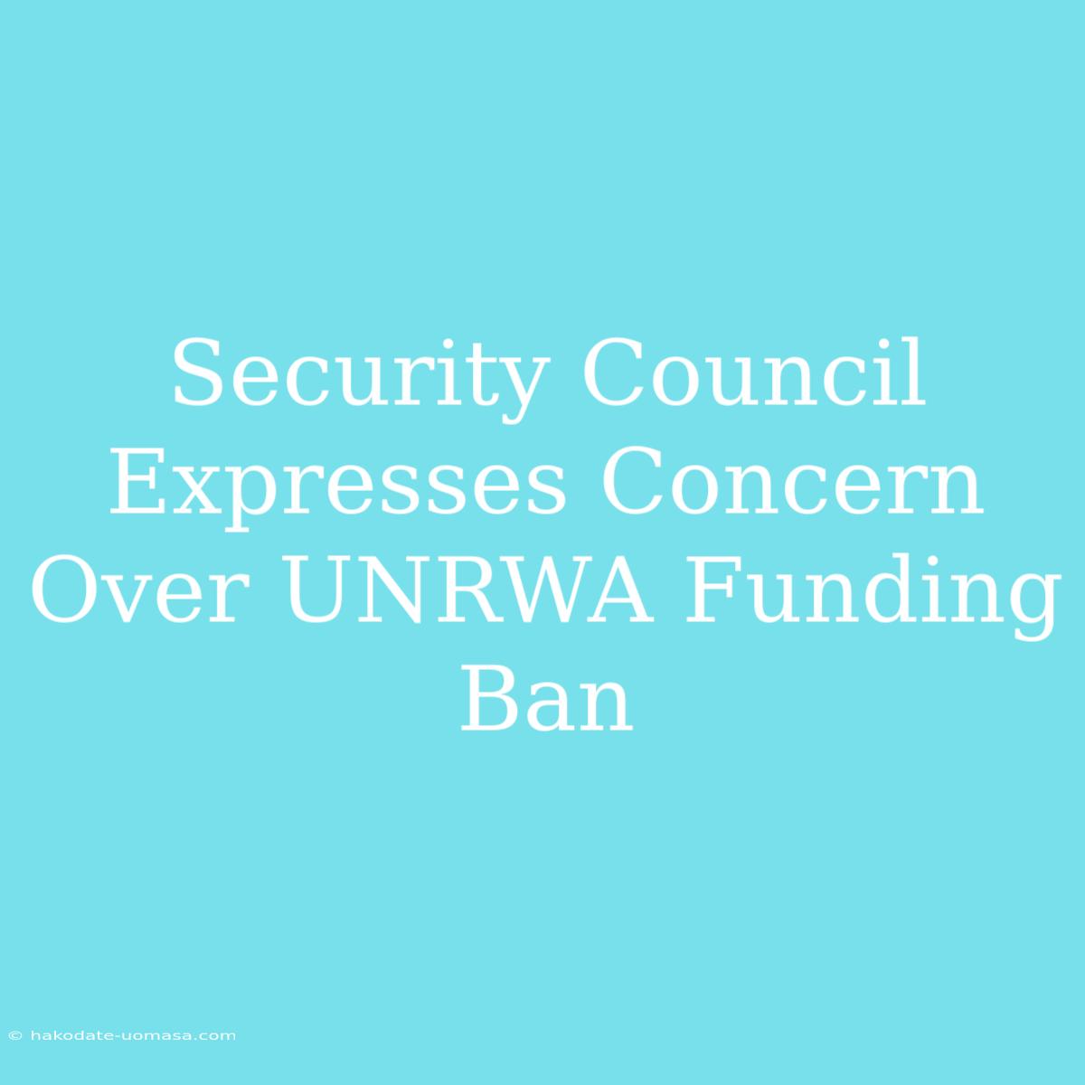 Security Council Expresses Concern Over UNRWA Funding Ban