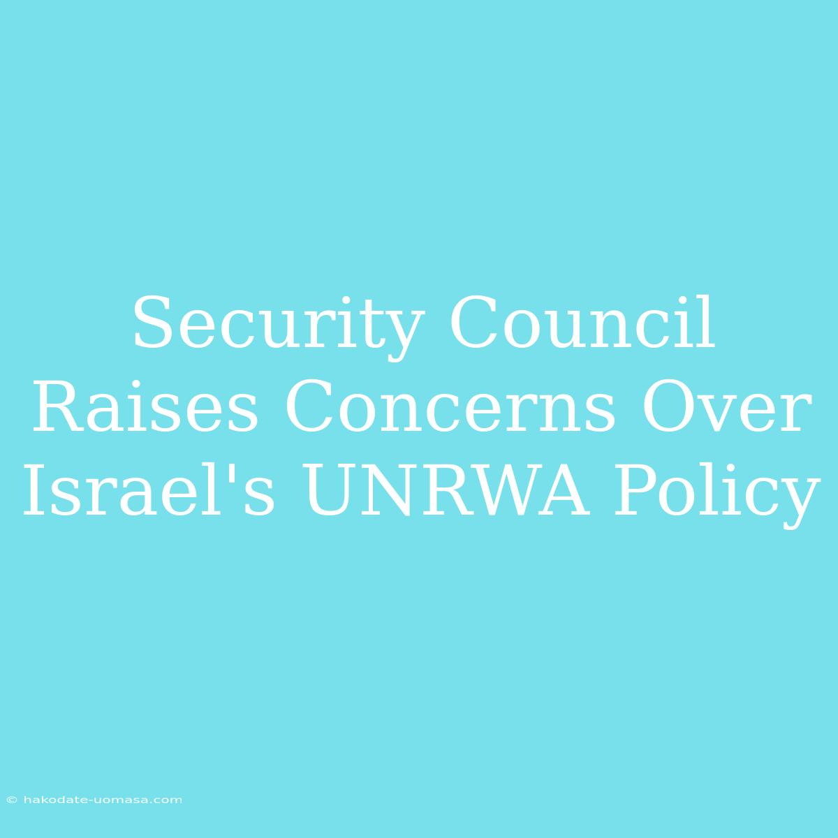 Security Council Raises Concerns Over Israel's UNRWA Policy 