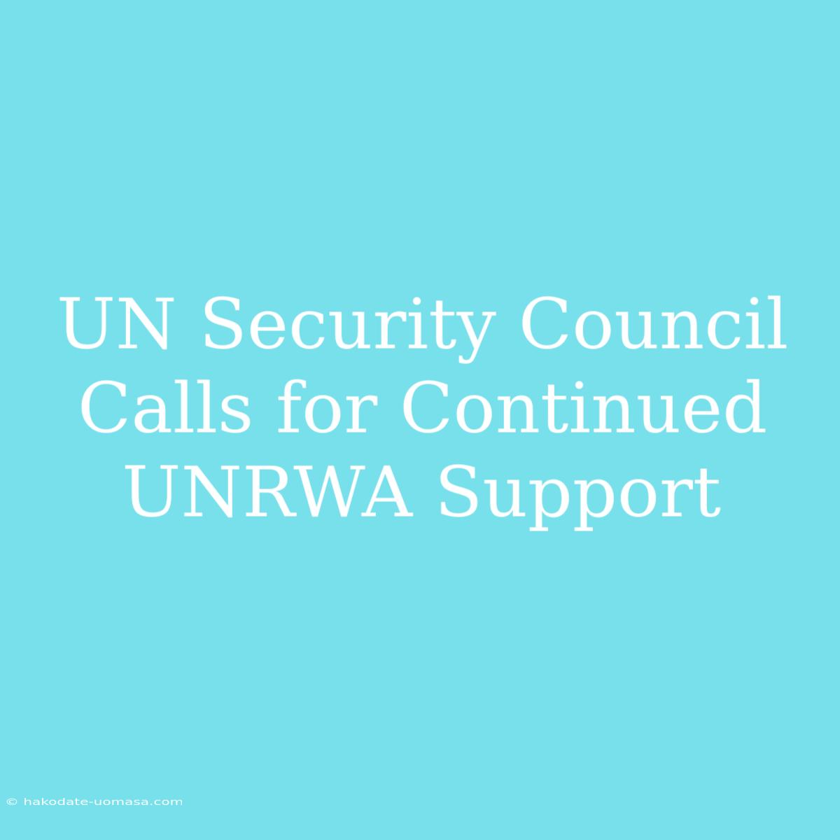 UN Security Council Calls For Continued UNRWA Support