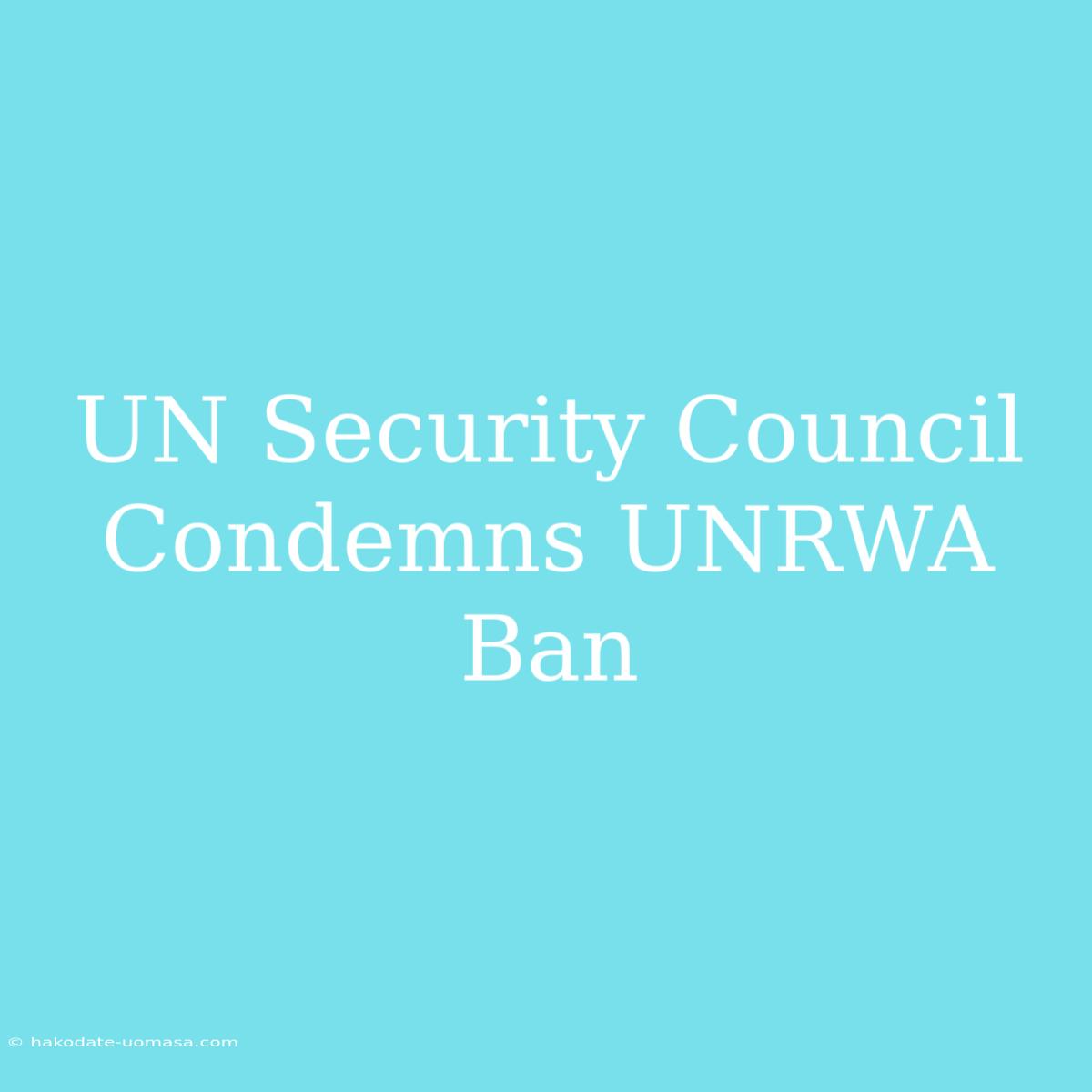 UN Security Council Condemns UNRWA Ban