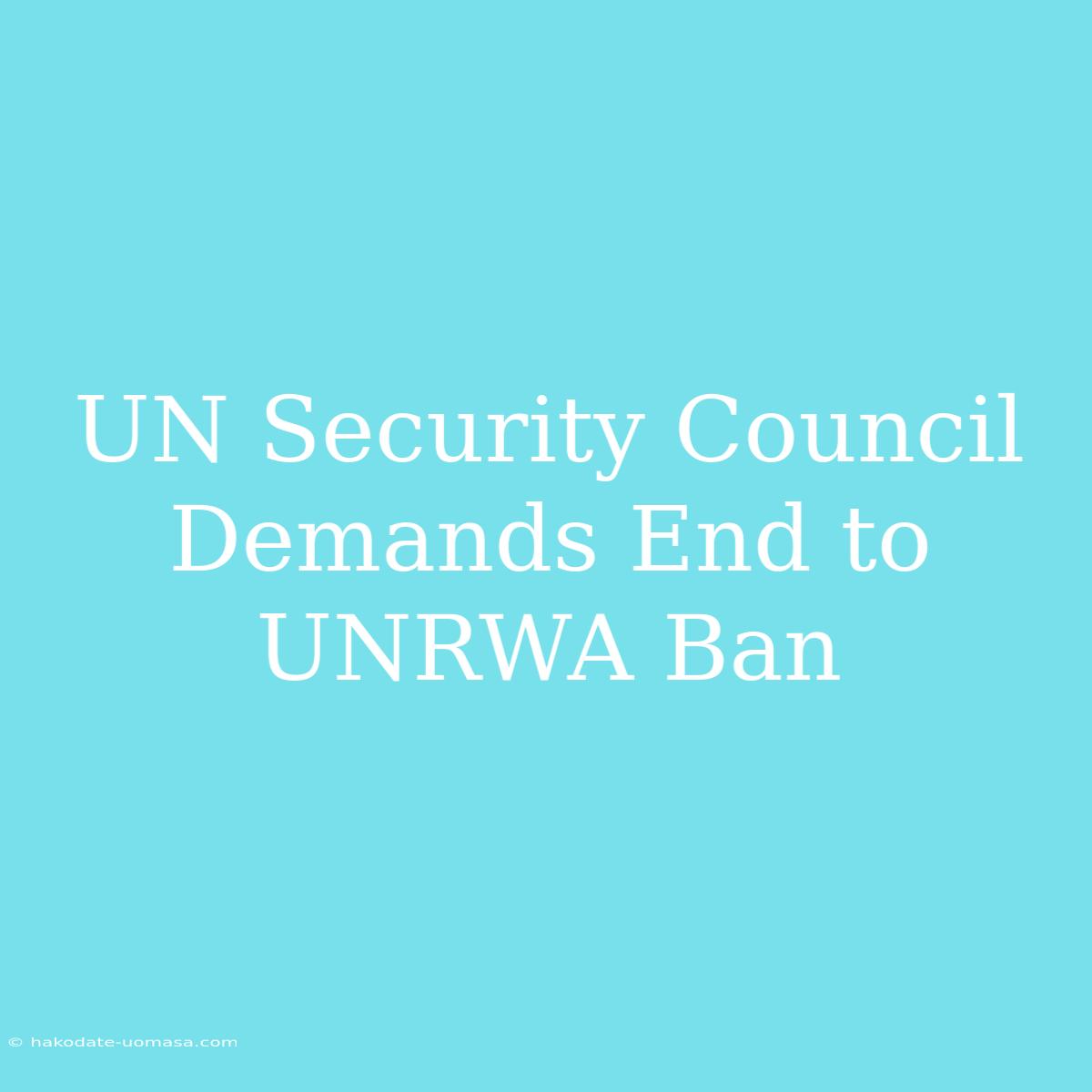 UN Security Council Demands End To UNRWA Ban 