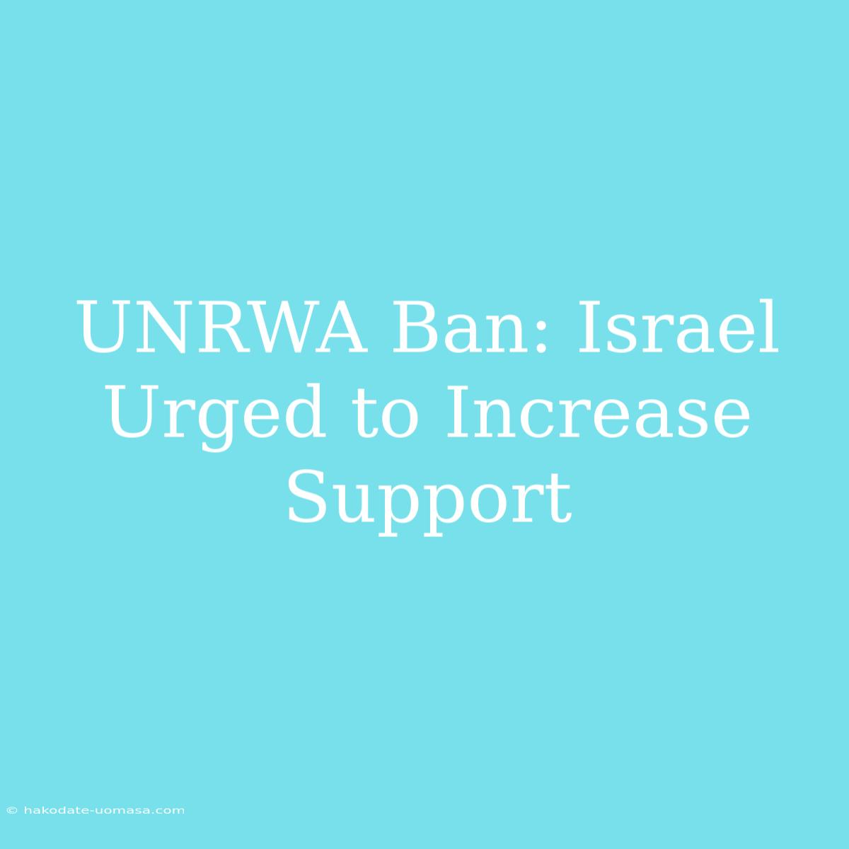 UNRWA Ban: Israel Urged To Increase Support